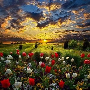 Meet your Posher, Dung